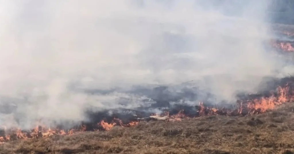 Пожари в Русенско: дрон подпомогна гасенето в Басарбово