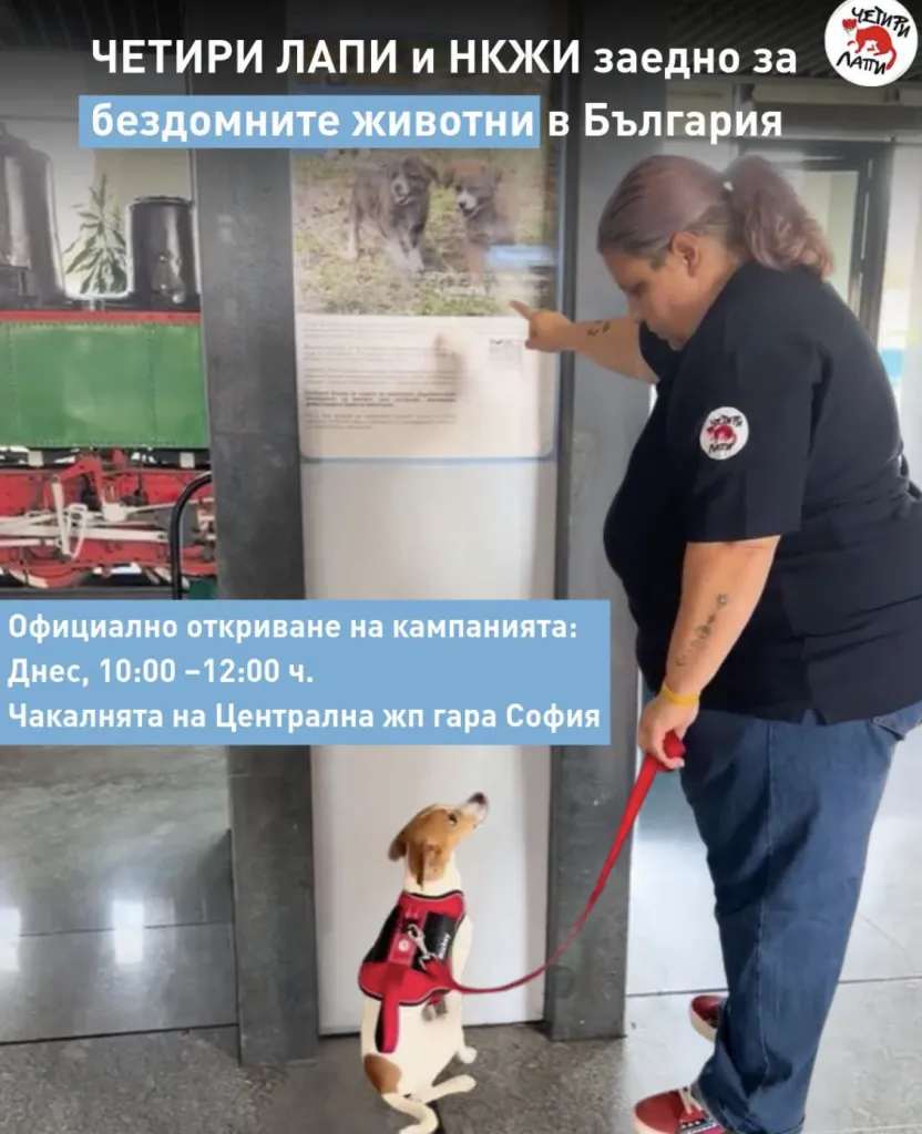 НКЖИ и „Четири лапи“ започват кампания за бездомните животни